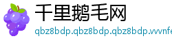 千里鹅毛网
